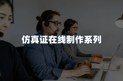 仿真证在线制作